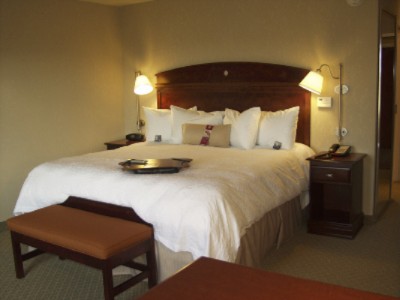 Hampton Inn & Suites Air Force Academy - King Room