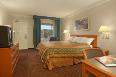 Spacious King Guest Rooms