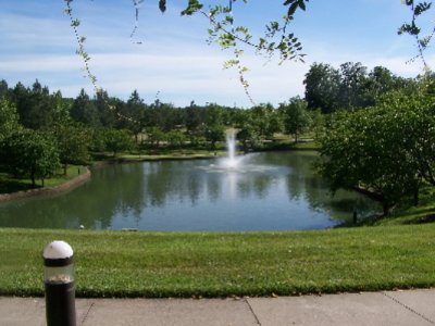 Park & Walking Trail