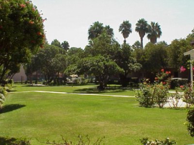 Courtyard