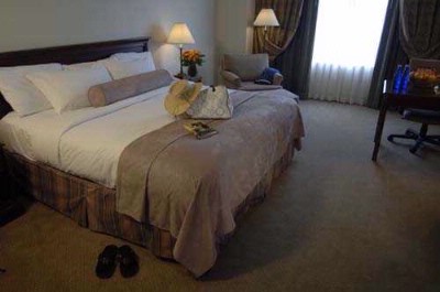 Hilton St. Petersburg Bayfront - 