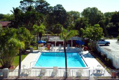 Best Western Midtown - Pool Area