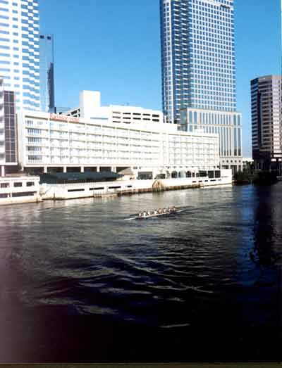 Radisson Riverwalk Hotel Tampa