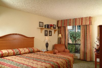 Days Inn & Suites Mesilla Valley Conference Center - Upgraded King Room