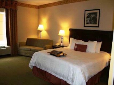 Hampton Inn - Our King Suites