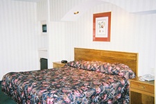 Scottish Inn & Suites - 