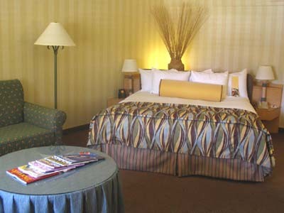 Hilton Palm Springs Resort - 
