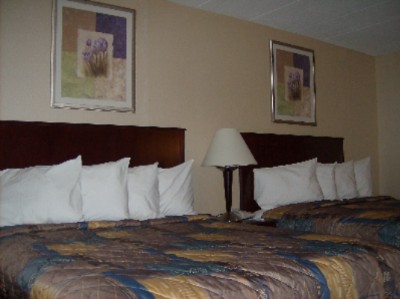 Guest Room With Two Beds