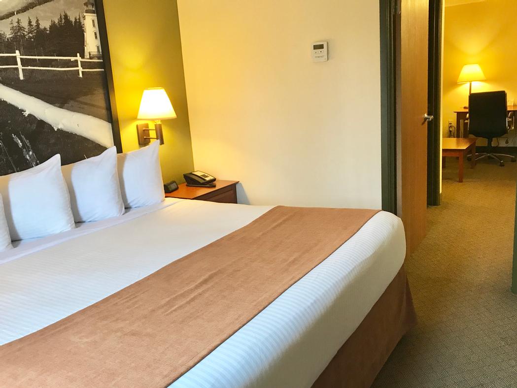 Junior Suite Bedroom Area One Queen