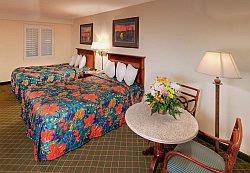 The Palms Hotel - 