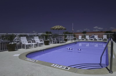 The Palms Hotel - Pool