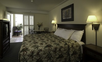 The Palms Hotel - Partial View Room