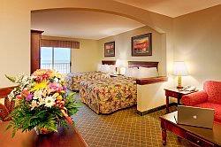 The Palms Hotel - 