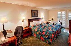 The Palms Hotel - 