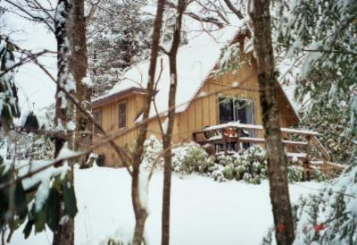 Winter Wonderland