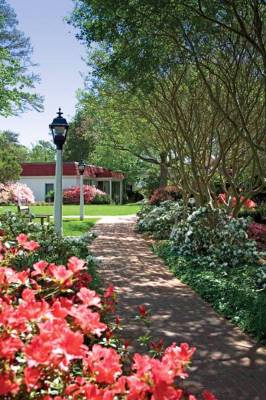 The Tides Inn - Manicured Grounds