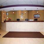 Quality Hotel & Suites - King Bed Jacuzzi And Parlor Suites