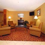 Quality Hotel & Suites - Quality Hotel & Suites 