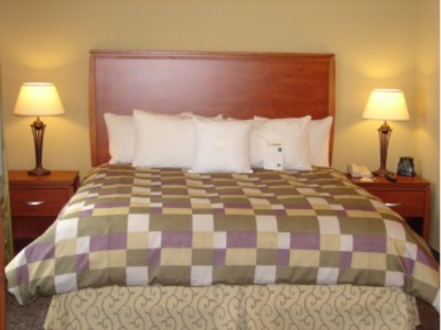 Homewood Suites by Hilton Irving / Dfw Airport - Studio Suite King Bed