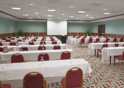 Wyndham Richmond Airport Hotel - Ballroom Conference