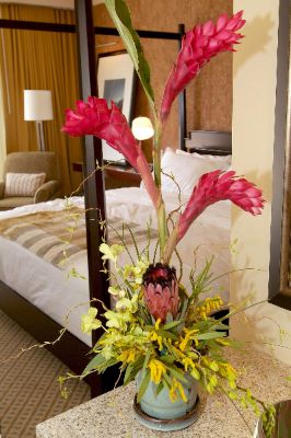 St. Julien Hotel & Spa - 