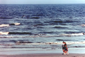 Super 8 Motel - Surfside Beach 9 Miles