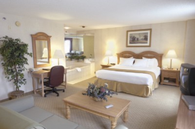 King Executive Suite With Jacuzzi Tub And Queen Pull Out Sofa