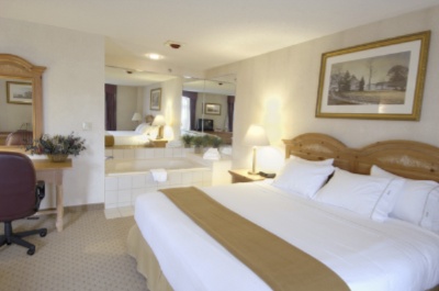 King Executive Suite With Jacuzzi Tub And Queen Pull Out Sofa