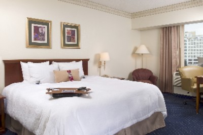 Standard King Guest Room