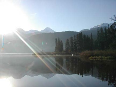 Quiet Summer Mornings