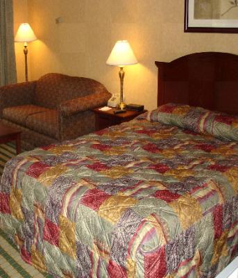 Guest Room With Queen Bed And Pullout Couch