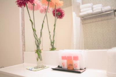 Howard Johnson Flushing No 16485 - Bathroom 1