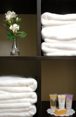 Inn at Mulberry Grove - Guest Bathroom