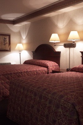 Stay Inn Airport South - 