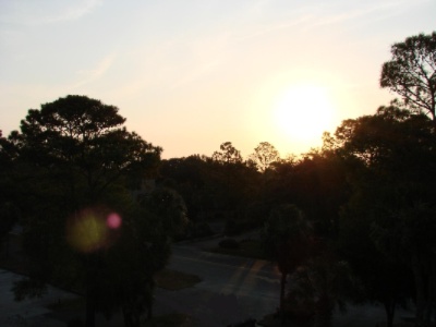 The Metropolitan Hotel Hilton Head Island - Sunrise View From The 5th Floor