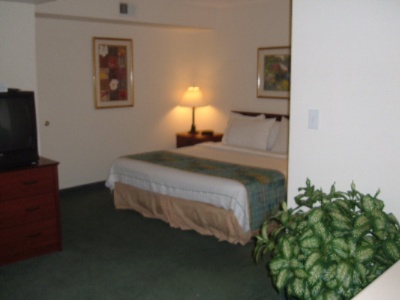 Studio King Suite