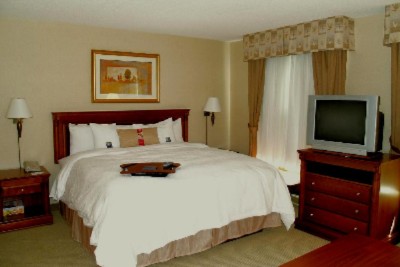 Hampton Inn & Suites Toronto Airport - Executive King Guest Room