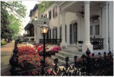 Comfort Suites Savannah Airport - Savannah And Its History