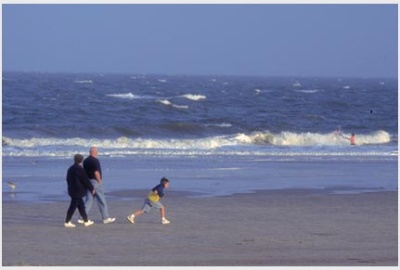 Comfort Suites Savannah Airport - Beach At Tybee Island