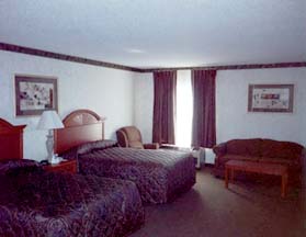 Comfort Suites - Room