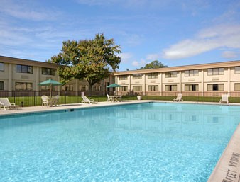 Olympic Sized Swimming Pool