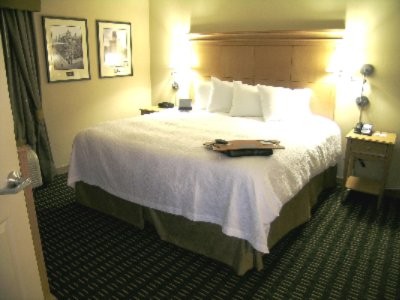 Hampton Inn Suites Downtown Albany - 