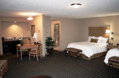 Hampton Inn Suites Downtown Albany - 