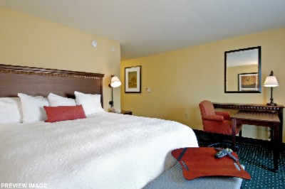 Hampton Inn & Suites - King Standard