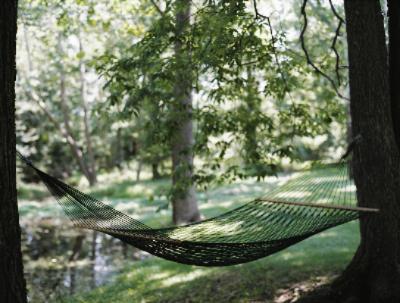 Hillbrook Inn - Relaxing Atmosphere