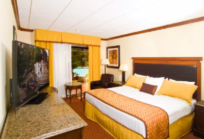 Riverwalk Plaza Hotel & Suites - King Room