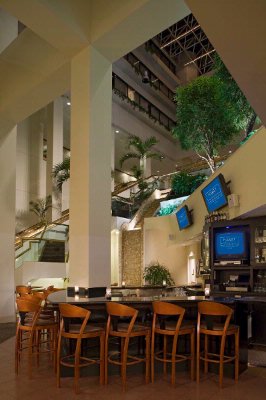 Hyatt Regency Tampa - Lobby Bar