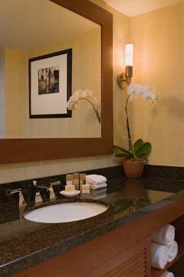 Hyatt Regency Tampa - Guest Bath
