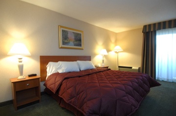 Comfort Inn Airport East - 