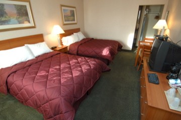 Comfort Inn Airport East - 